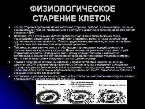 Экологические