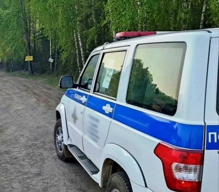 Как подготовиться к проверке транспортного средства