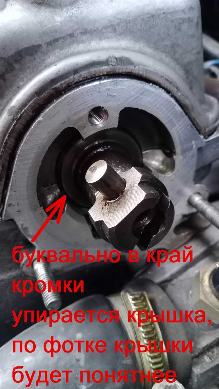Куда